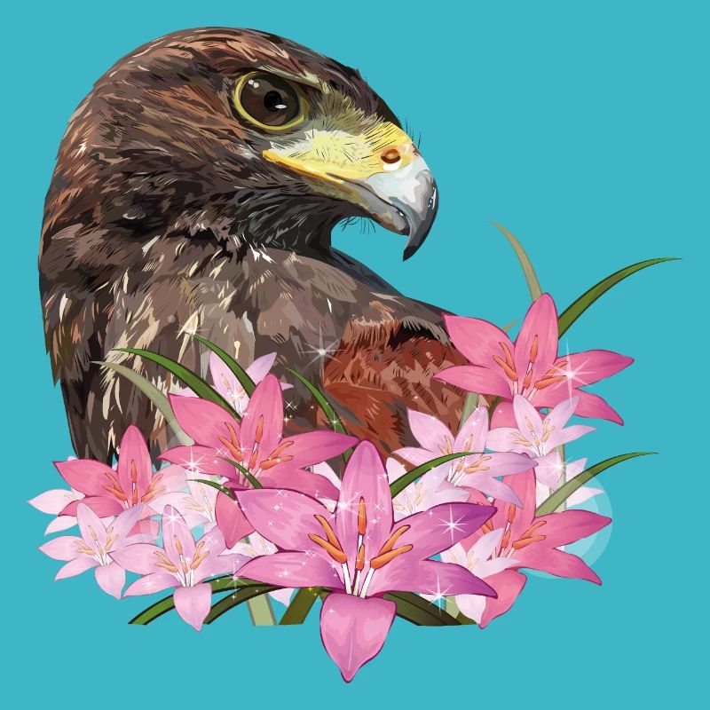 harris hawk
