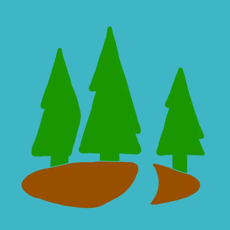 Conifer christmas tree fir tree forest fir tree
