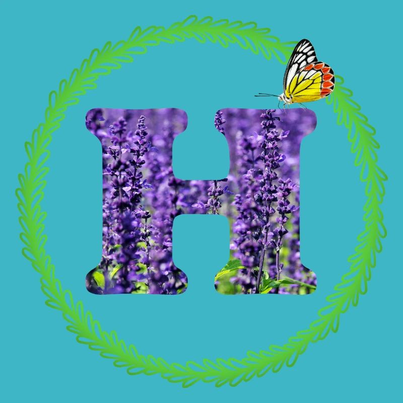 lavande h