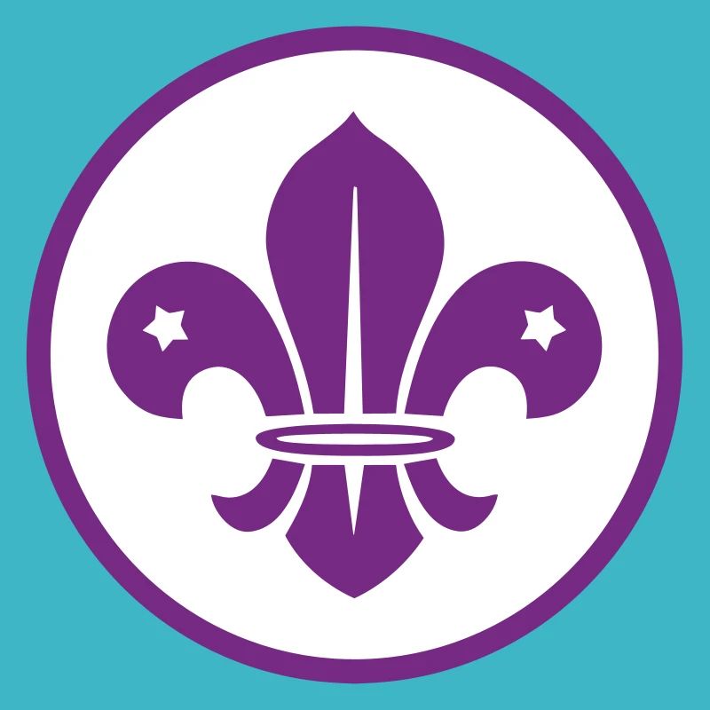 Scout / Scouting