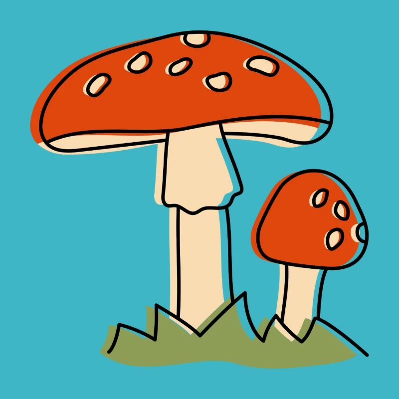 Fly agaric Mushrooms Mushroom