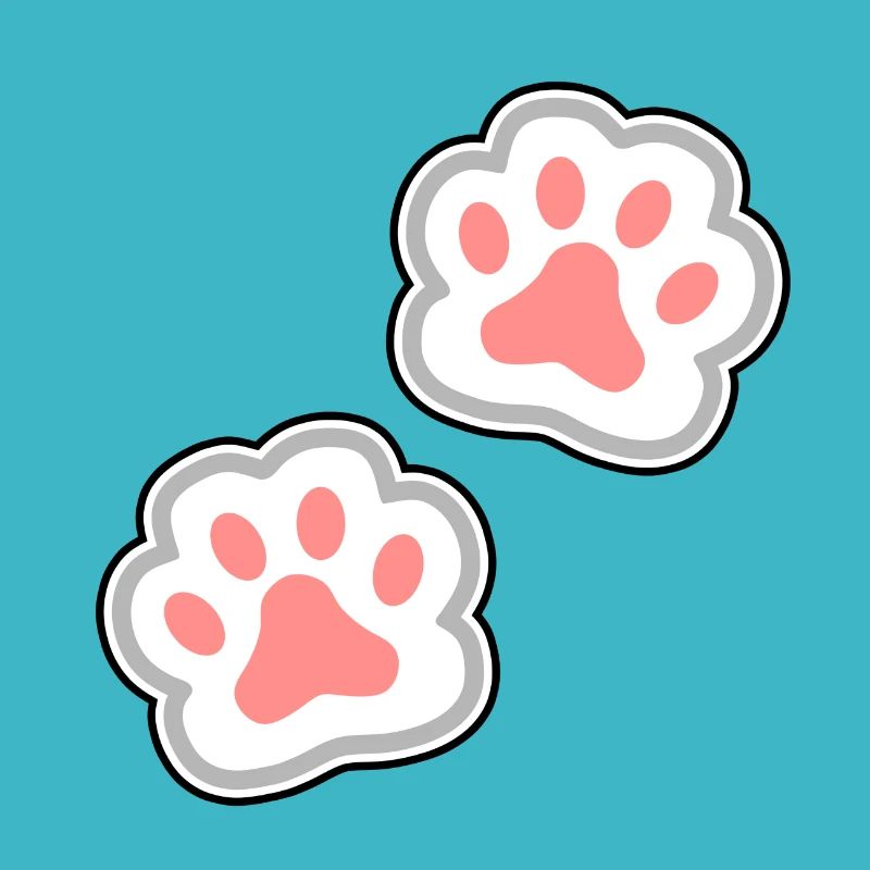 Pfoten Katze Hund