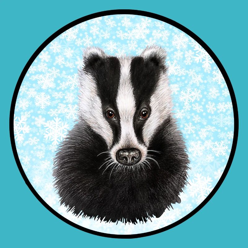Badger/Dachs im Schnee