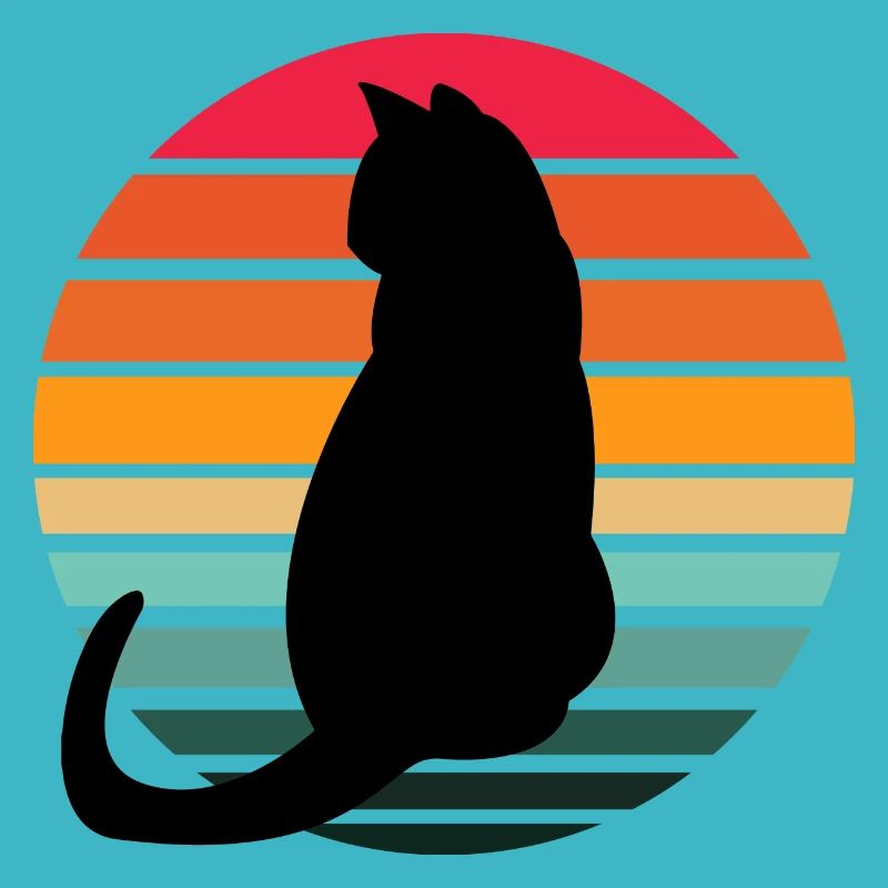 Katze Sunset