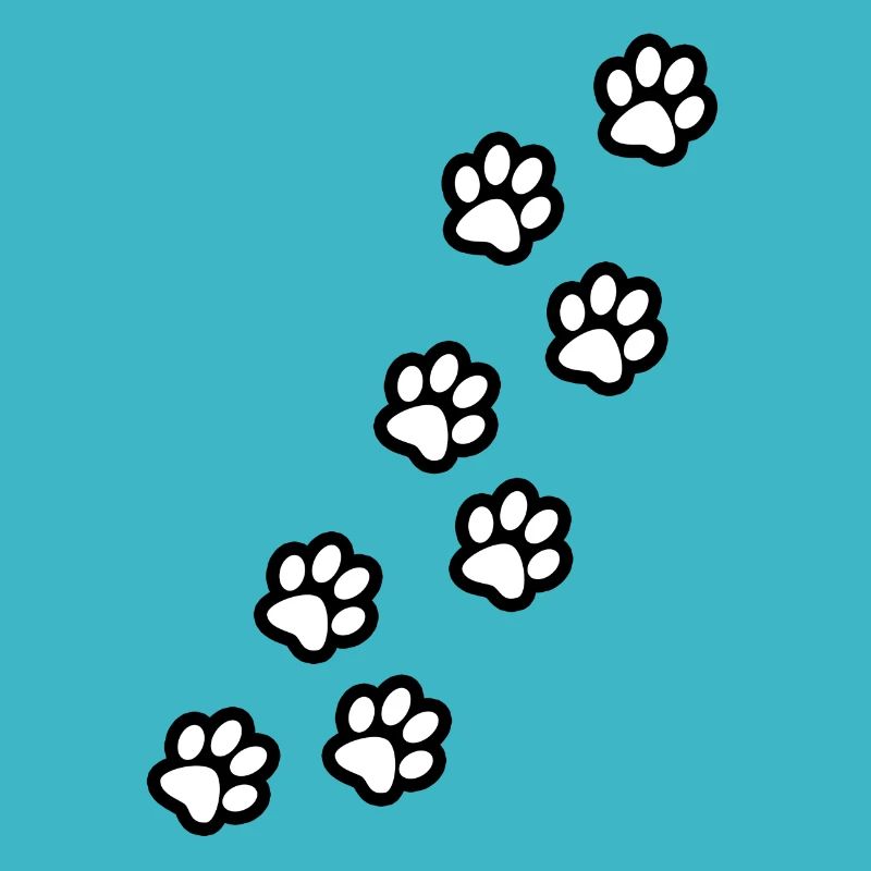 Pfoten von Hund und Katze