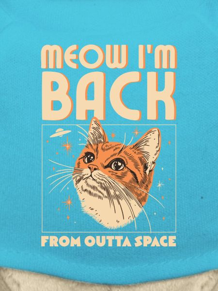 Miaou, je suis de retour