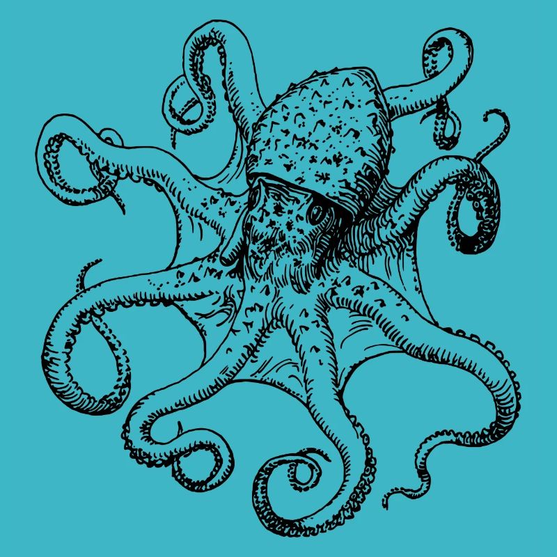 squid giant octopus octopus octopus squid sepia fish