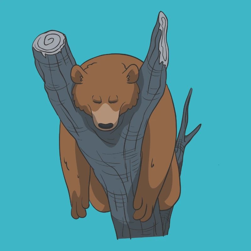 Schlafender Bär Geschenk Idee