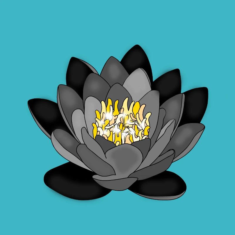 Seerose Rosendesign