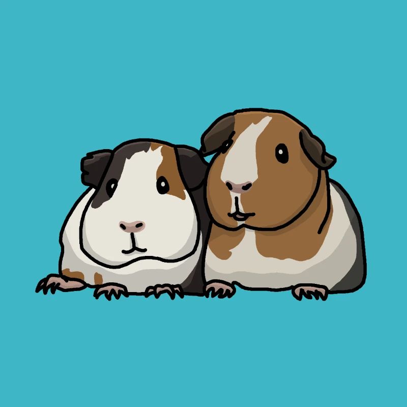 Cochons d'Inde, doux