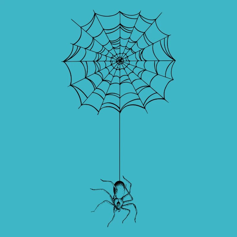 Spider - spider web - spider