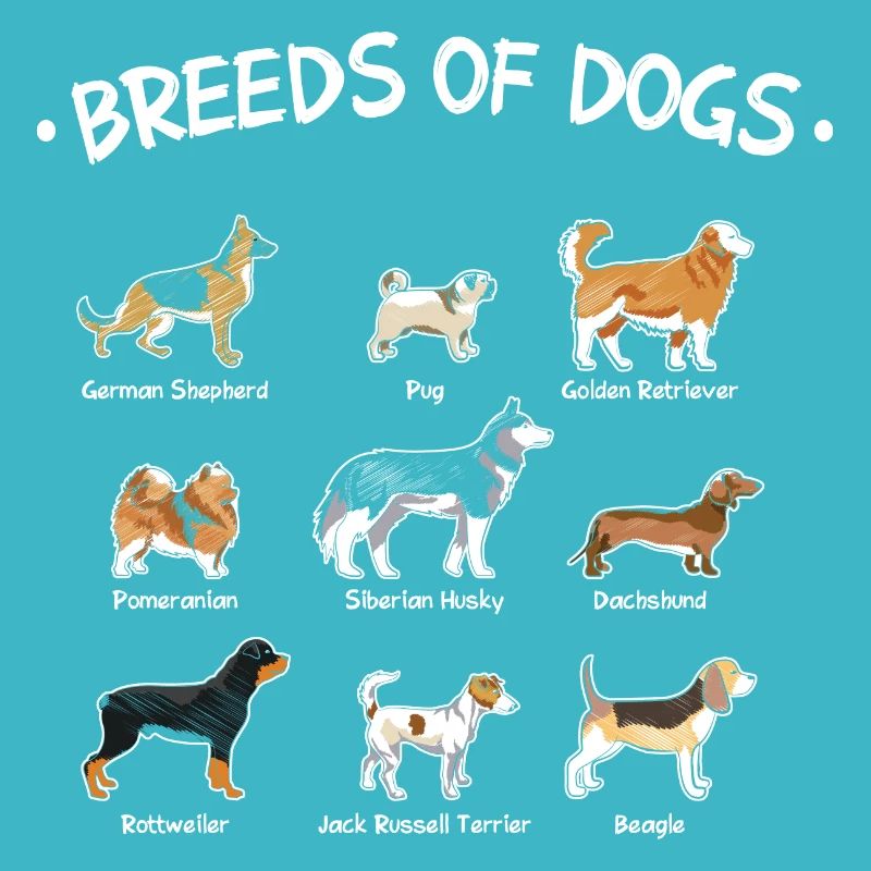 Races de chiens