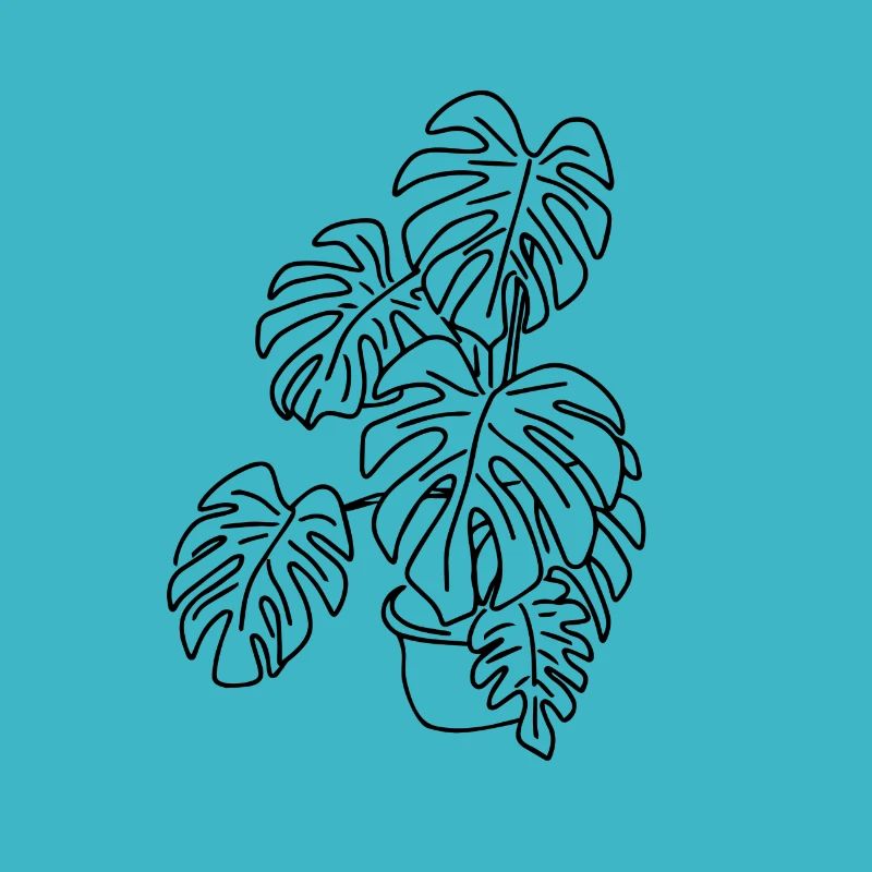 Monstera