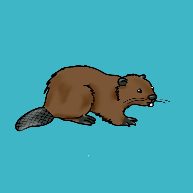 beaver