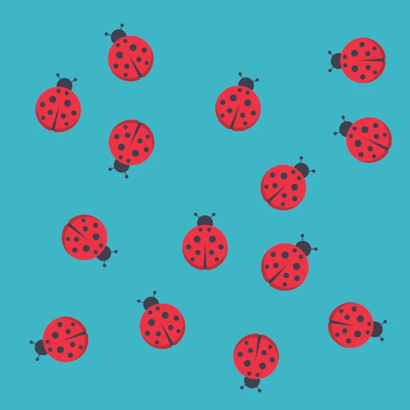 Ladybugs