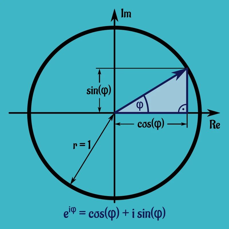 Euler's formula in the unit circle