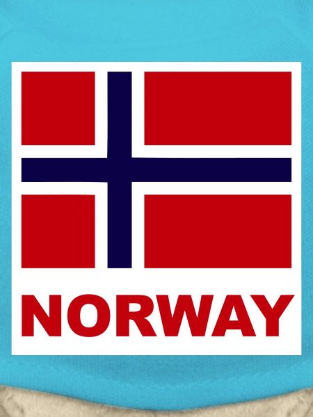 Norwegen Norwegen Flagge