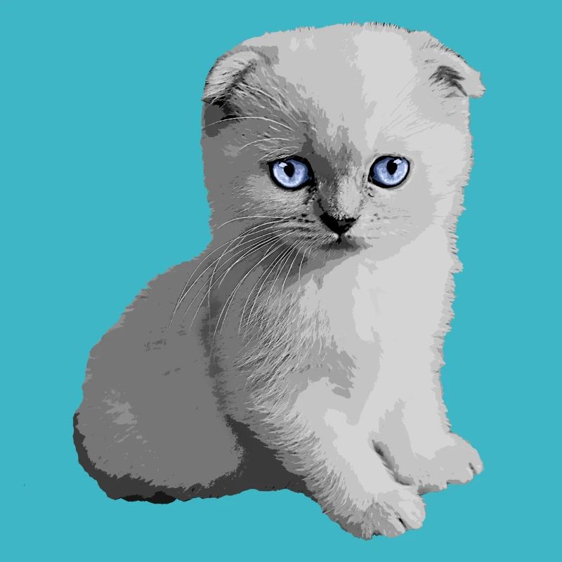 Cute Kitty Kitten