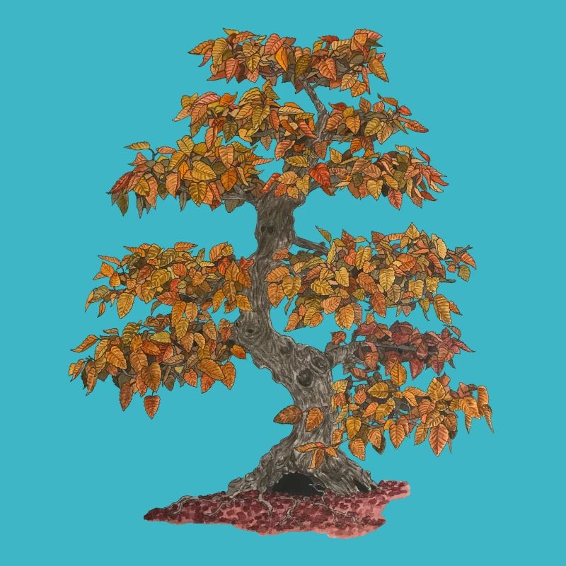 Bonsai Laubbaum mit roten Blättern