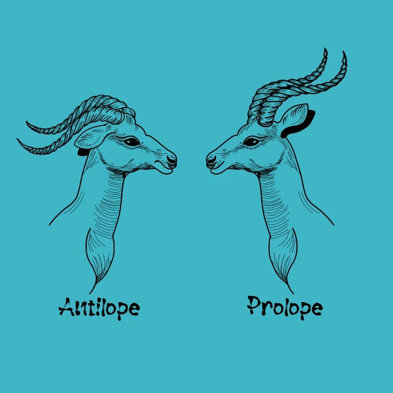 Antilope ProlopeSchwarz