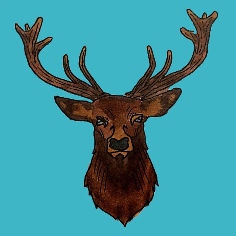 Tête de CERF