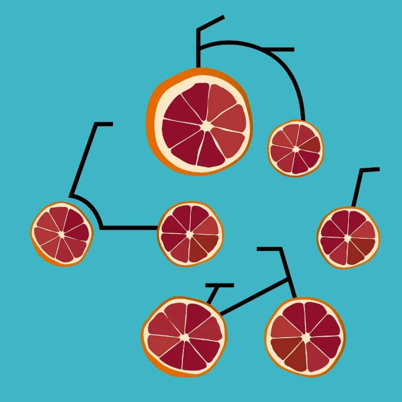 Blood Oranges Bicycle Humor Gift