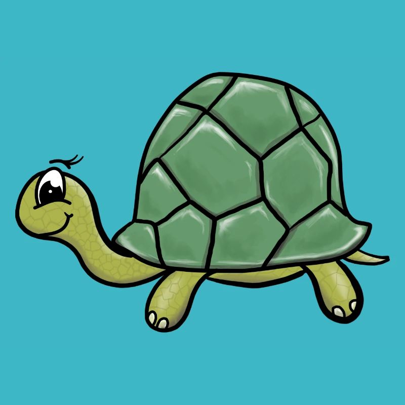 Schildkroete