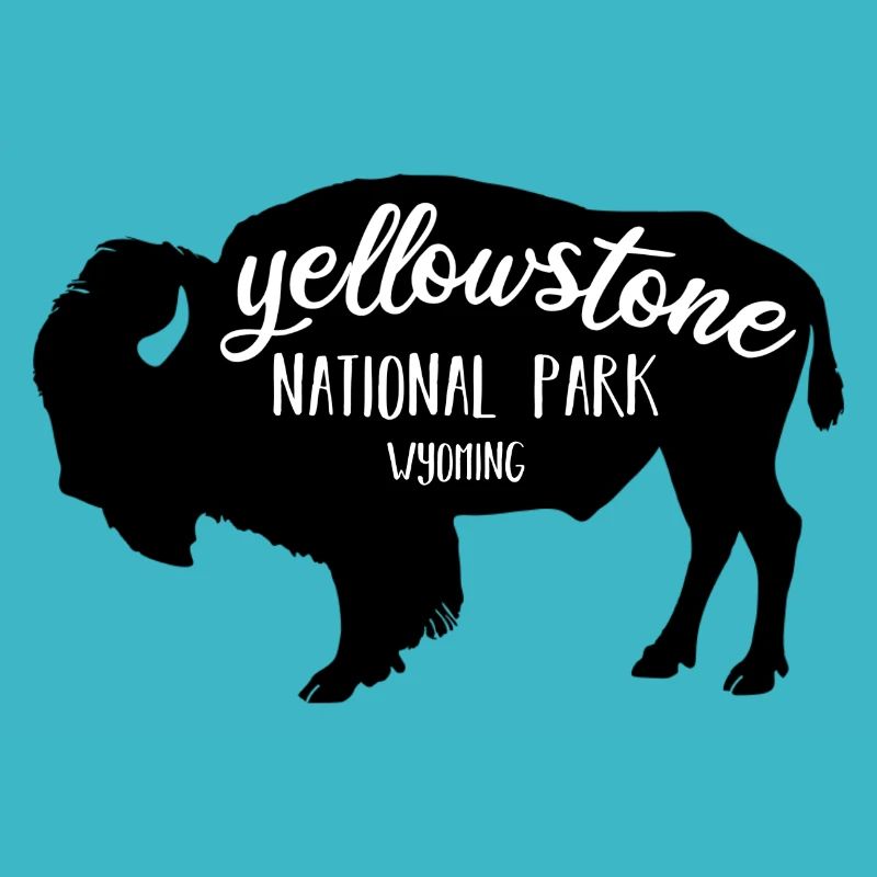Yellowstone NP Bison Farbe schwarz