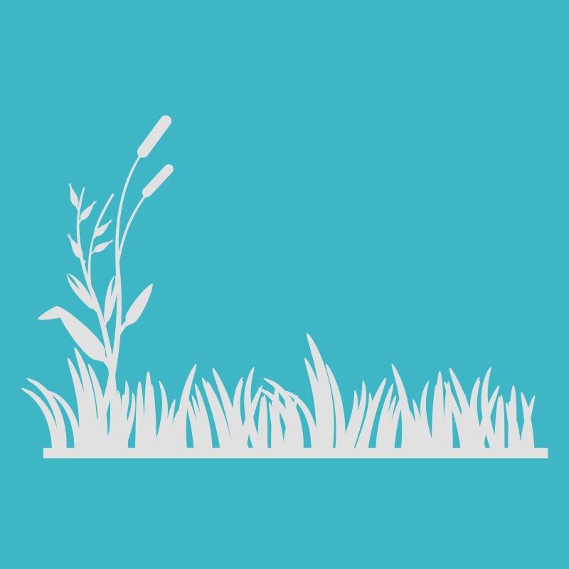 herbe