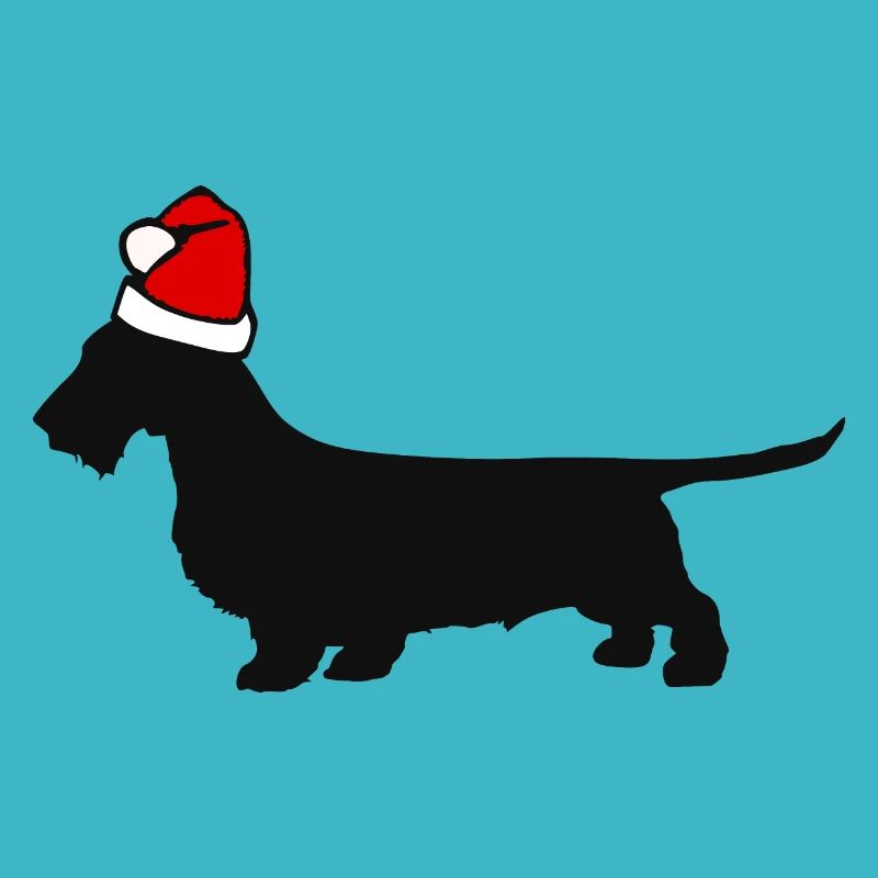 Teckel teckel teckel dachshund