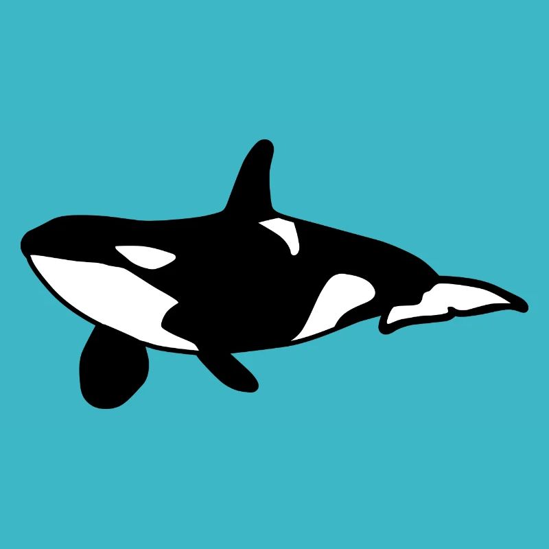 Orca Wal Meer