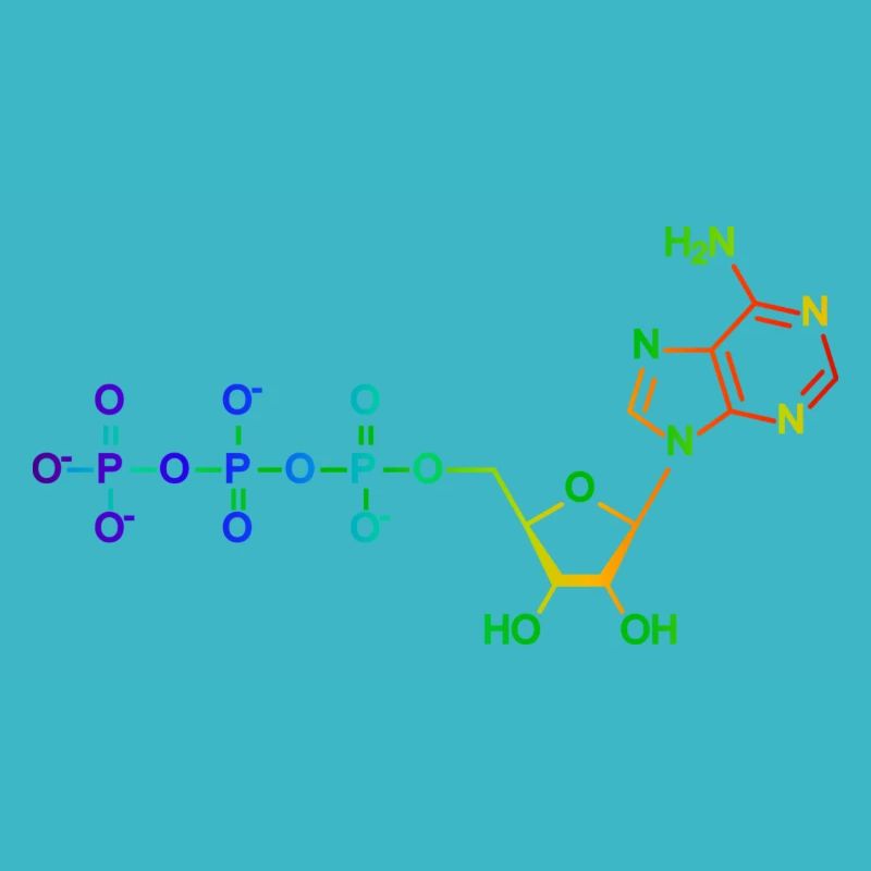 Adenosintriphosphat - ATP - Regenbogen