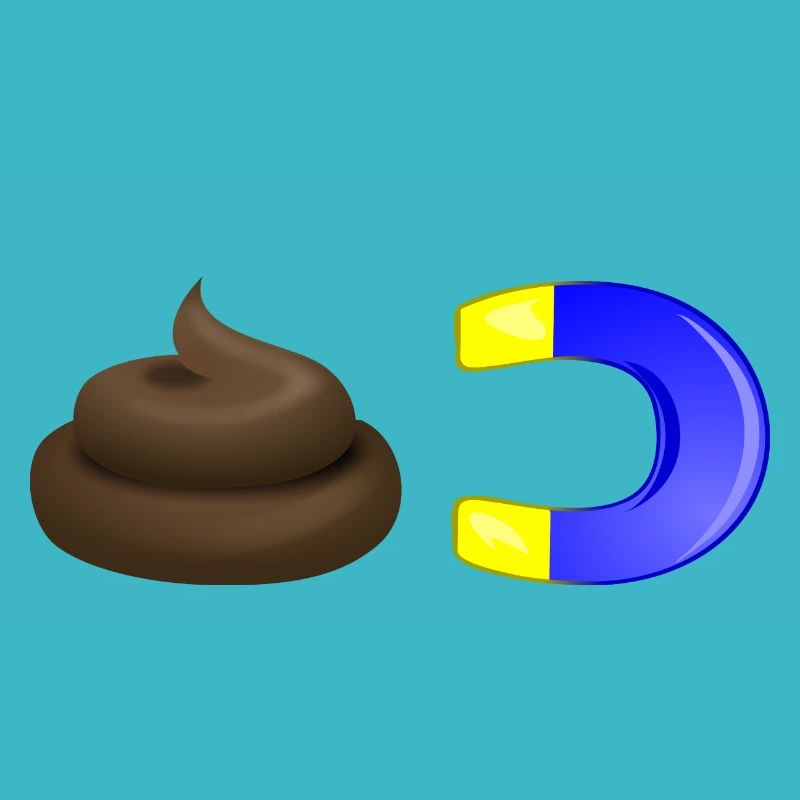 Scheissemagnet