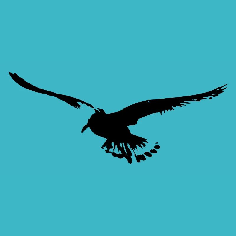 Möwe