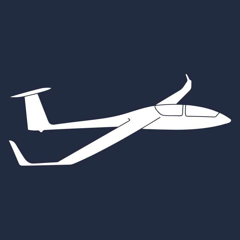 DG1000 glider glider pilot glide