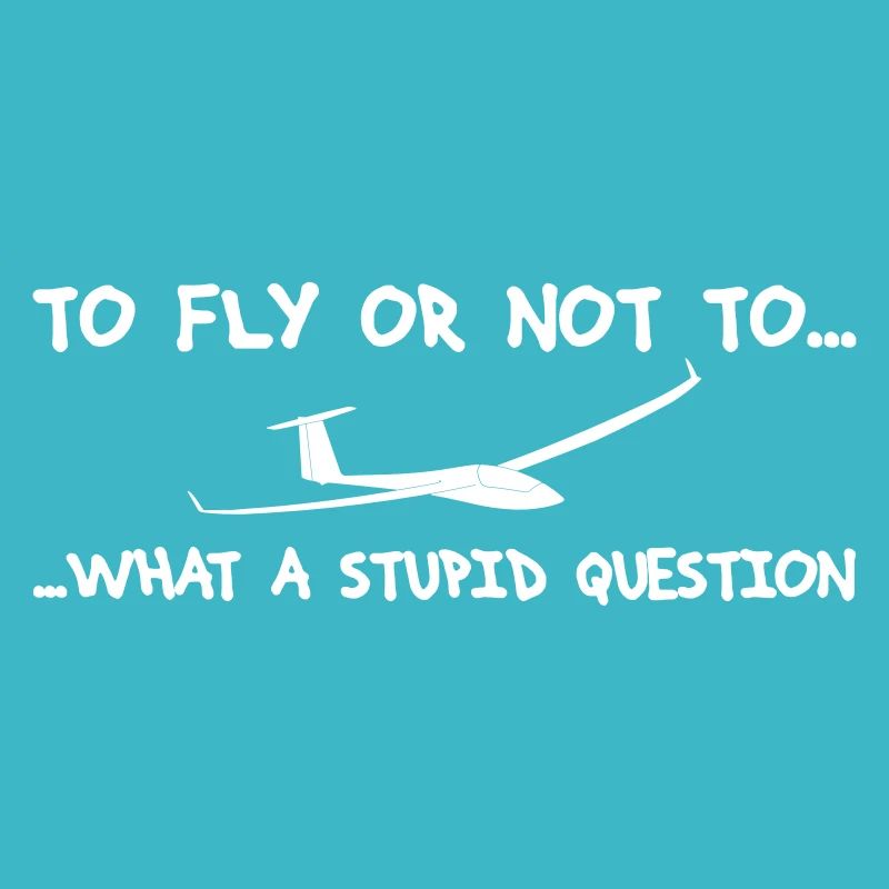Question pilot glider pilot gliding glider