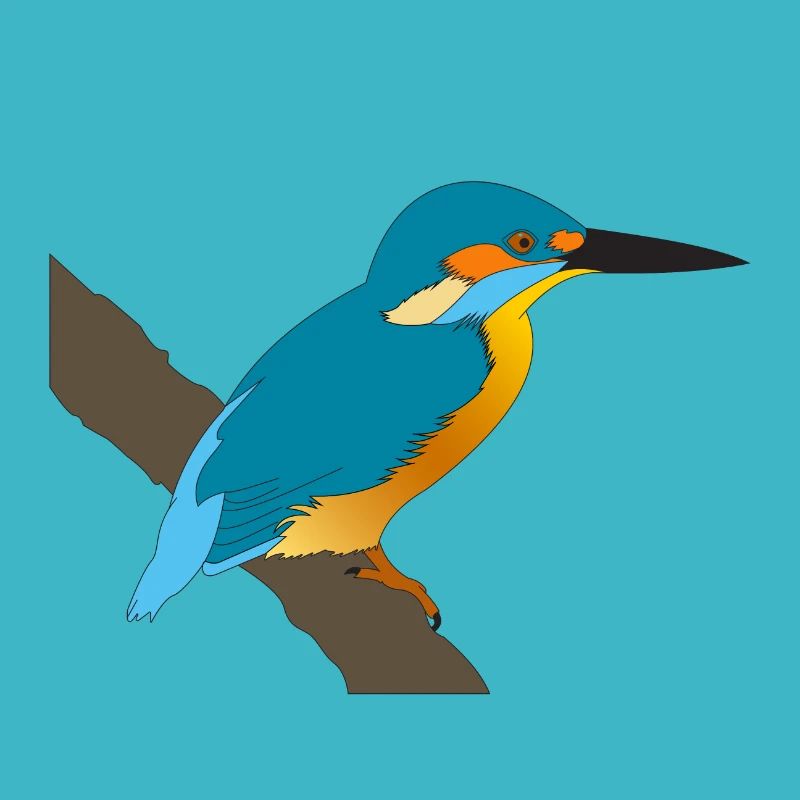 Eisvogel