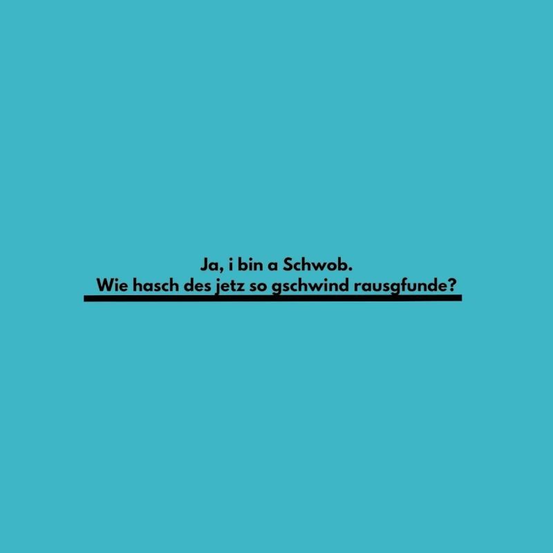 Schwabe Ländle Spätzle Stuttgart Gift Idea