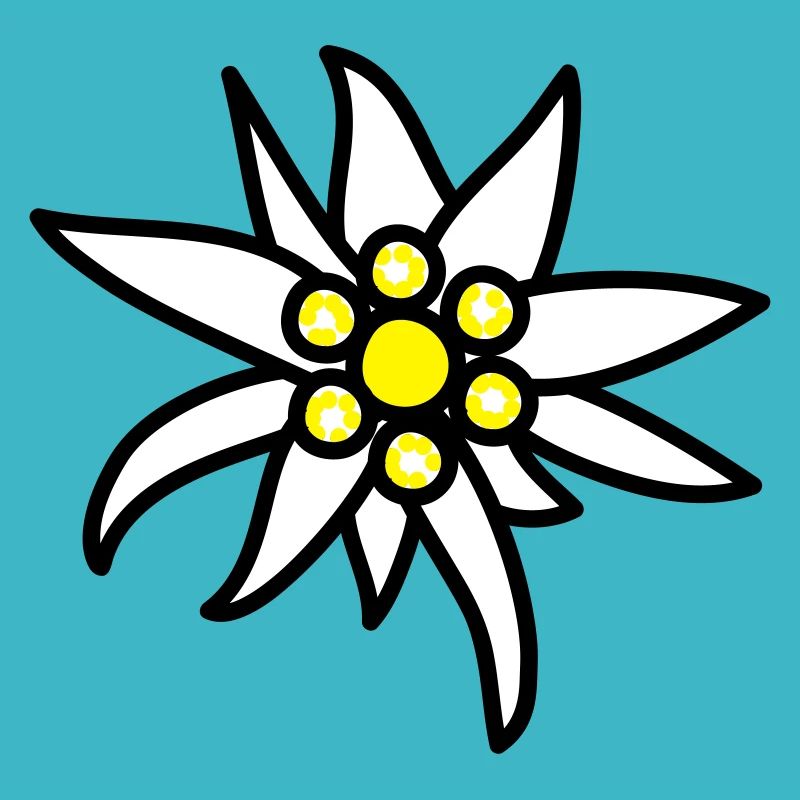 Edelweiss