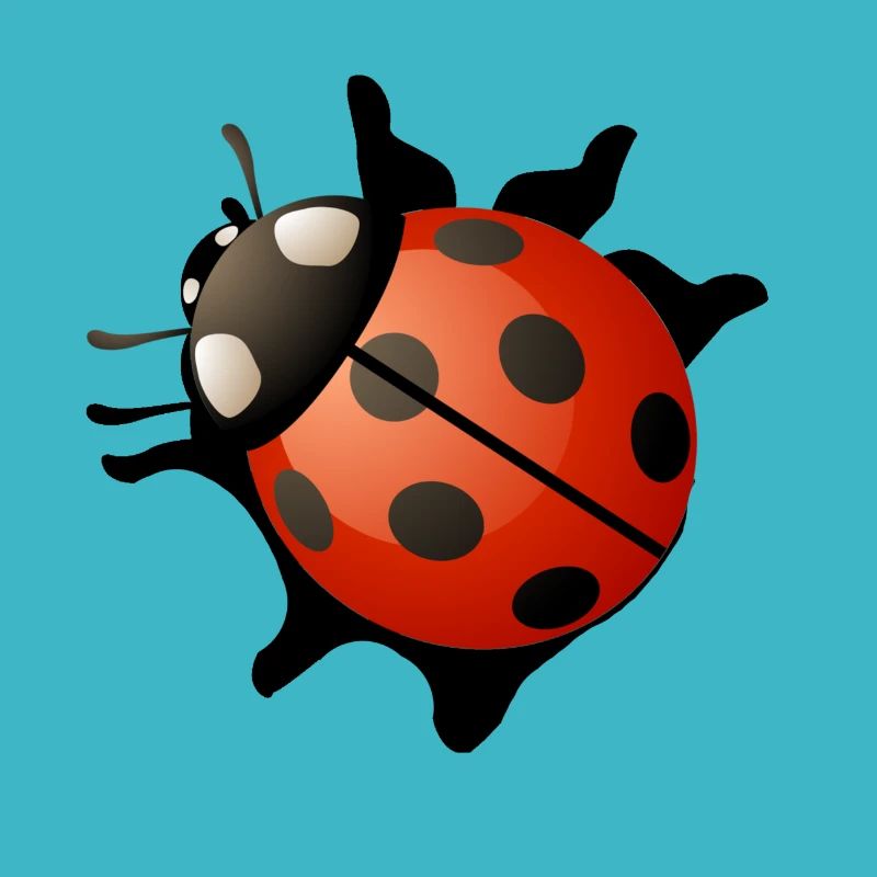 Ladybug red gift present idea