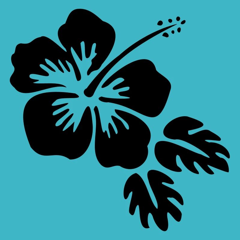 Hibiscus fleur fleur Blossom fleur fleur