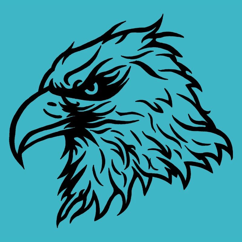 Cool Bald Eagle Eagle