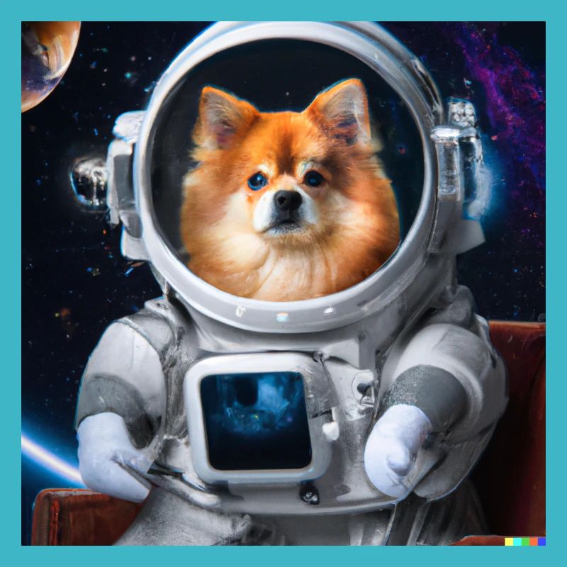 Poméranien en combinaison spatiale - chien dans l’espace