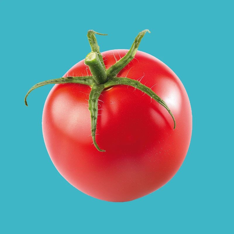 Tomate