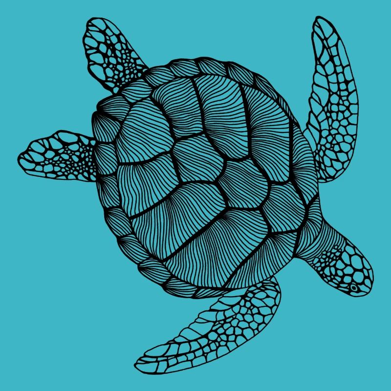 Schildkröte Line Art - Turtle