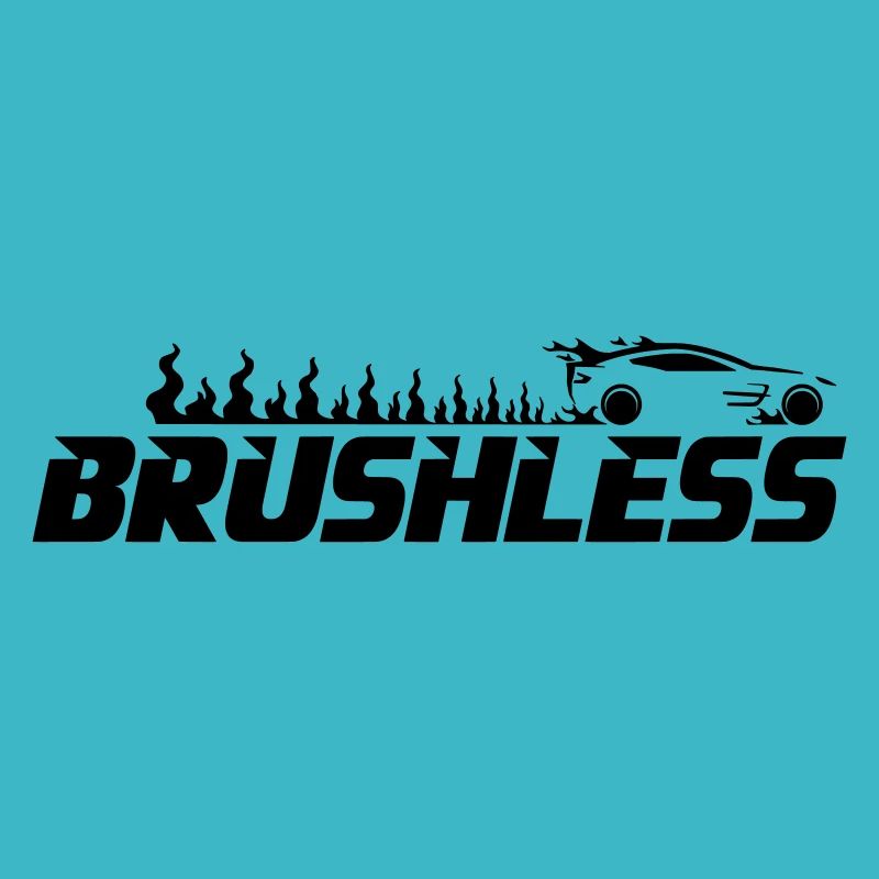 Lipo RC Car brushless télécommandé