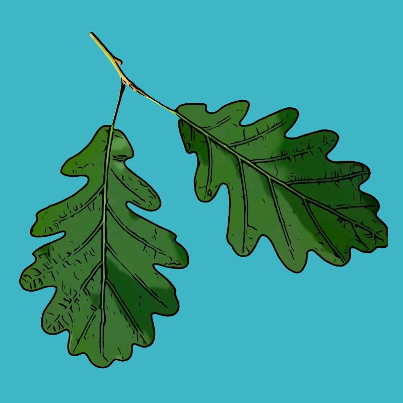 Feuille de chêne feuille de chêne