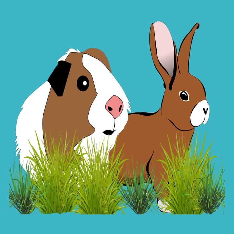 Guinea pig design
