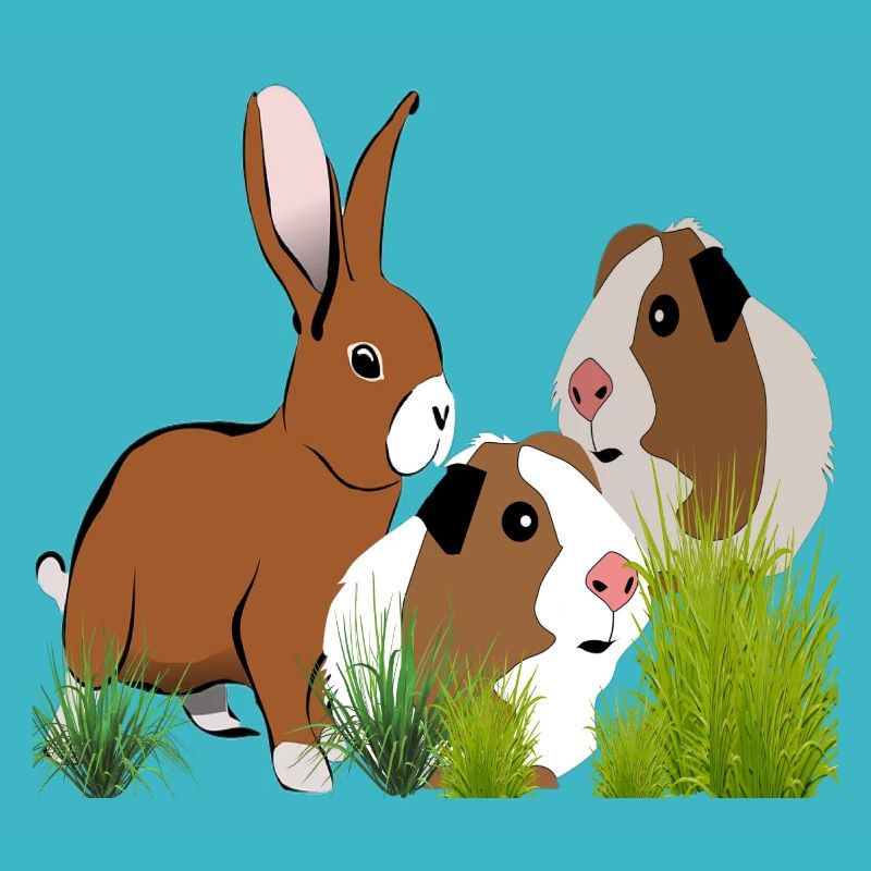 Cobaye Lapin Design