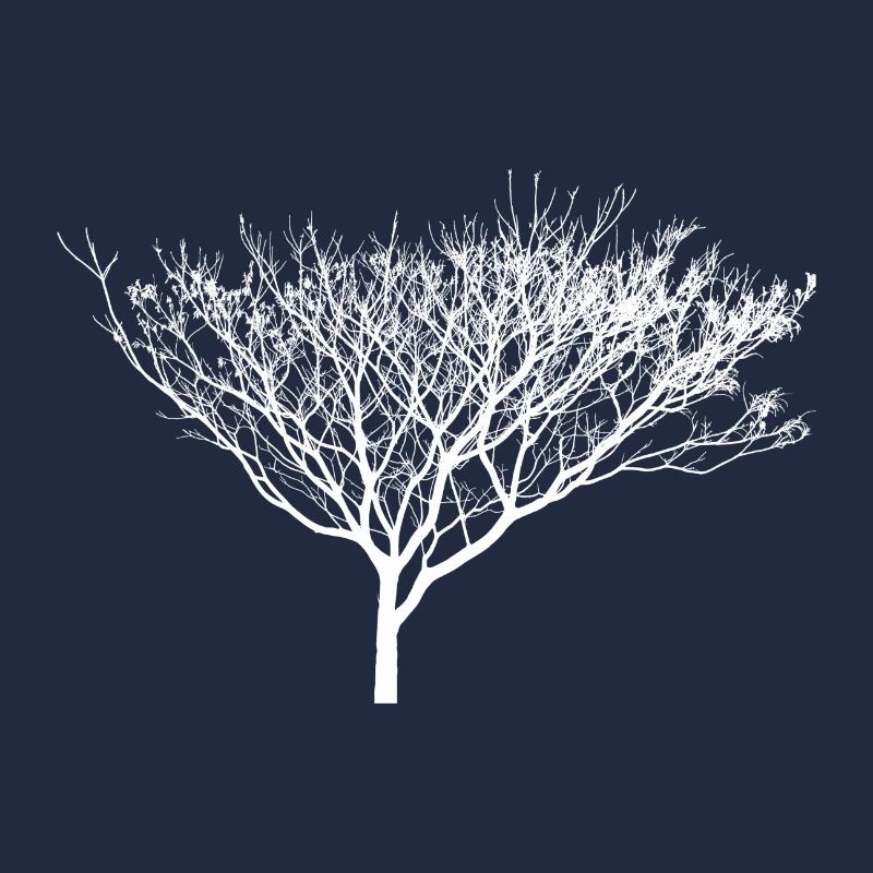 bel arbre blanc